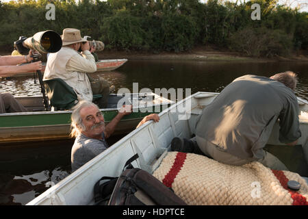 Öko-Touristen einen Jaguar im südlichen Pantanal zu fotografieren, während ein lokaler Guide bemüht sich, Boote in Position zu halten. Stockfoto