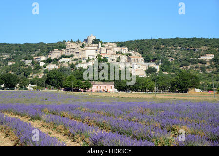 Simiane-la-Rotonde oder Simiane la Rotonde und Lavendelfeld Alpes-de-Haute-Provence Provence Frankreich Stockfoto