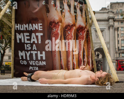 Grafischen Inhalt *** ein Mann aufgehängt ist und "Geschlachtet" während inszenierten Photocall für PeTA, auf Welt-Vegan-Tag in Marble Arch, London Featuring: Atmosphäre wo: London, Vereinigtes Königreich als: 1. November 2016 Stockfoto