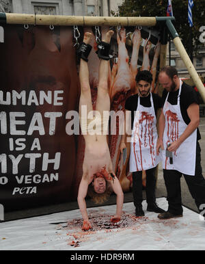 Grafischen Inhalt *** ein Mann ist aufgereiht und "Geschlachtet" während inszenierten Photocall für PETA auf Welt-Vegan-Tag in Marble Arch, London Featuring: Atmosphäre wo: London, Vereinigtes Königreich als: 1. November 2016 Stockfoto