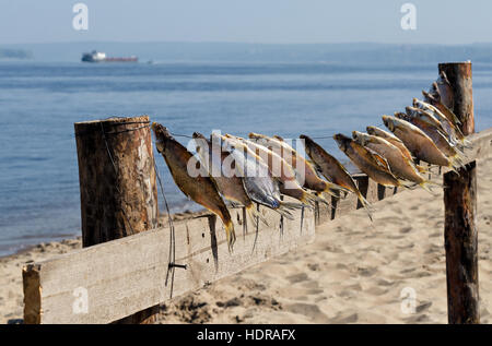 Getrockneter Fisch am Ufer des Flusses, blaues Wasser und gelbe Sand. Selektiven Fokus. Stockfoto
