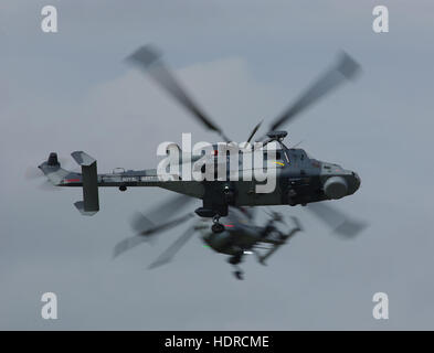 Königliche Marine schwarze Katzen Stockfoto