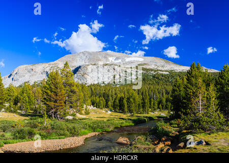 Tioga Pass ist ein Berg in der Sierra Nevada. State Route 120 fließt, und dient als die östlichen Einstiegspunkt für Yosemite Nati Stockfoto