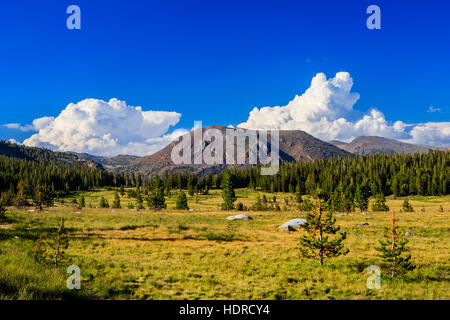 Tioga Pass ist ein Berg in der Sierra Nevada. State Route 120 fließt, und dient als die östlichen Einstiegspunkt für Yosemite Nati Stockfoto