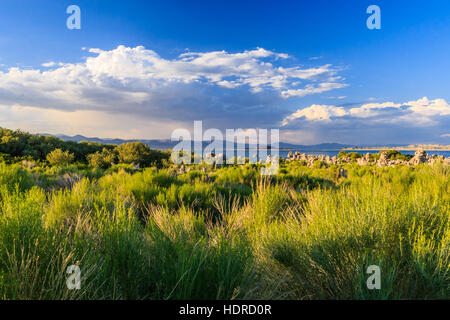 Mono Lake ist eine große, flache salzhaltige Soda See in Mono County, Kalifornien, als terminal See in eine abflusslose Becken mindestens 760.000 Jahren entstanden. Stockfoto