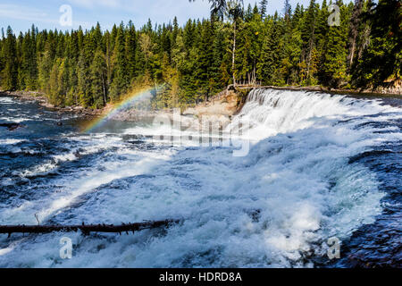 Dawson Falls ist einer der sieben Wasserfälle am Murtle River im Wells Gray Provincial Park in British Columbia, Kanada. Stockfoto