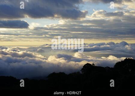 Morgen Berglandschaft mit Wellen von Nebel. Verträumte Sonnenaufgang auf dem Gipfel Berges mit Blick ins neblige Tal. Stockfoto