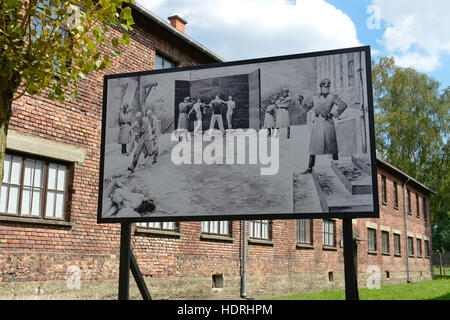 Schwarze Wand, Erschiessungen, Block 11, Stammlager ich Konzentrationslager Auschwitz-Birkenau, Auschwitz, Polen Stockfoto