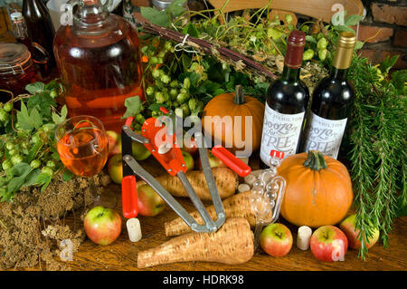 Andy Hamilton macht seine eigenen Geister zu Hause aus einfachen Zutaten in seiner Küche und hat ein Buch mit dem Titel "Alkohol kostenlos' geschrieben. Stockfoto