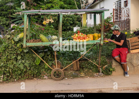 Gemüse Stand am Straßenrand in Vinales, Kuba Stockfoto