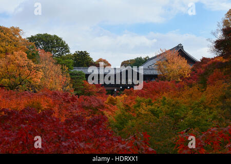Herbstlaub in voller Farbe am Tempel Tofuku-Ji, Kyoto, Japan Stockfoto