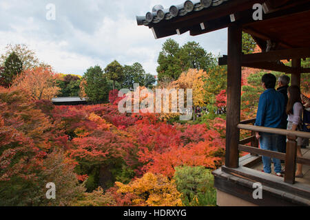 Touristen genießen die Farben des Herbstes am Tempel Tofuku-Ji, Kyoto, Japan Stockfoto