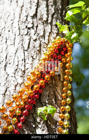 Orange, rot und gold Karneval-Perlen, die an einem Baum hängen Stockfoto