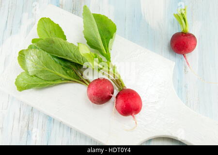 roten Radieschen auf eine weiße Schneidebrett Stockfoto