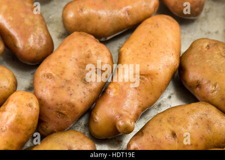 kleinen gewaschen und ungekochte Kartoffeln hautnah Stockfoto