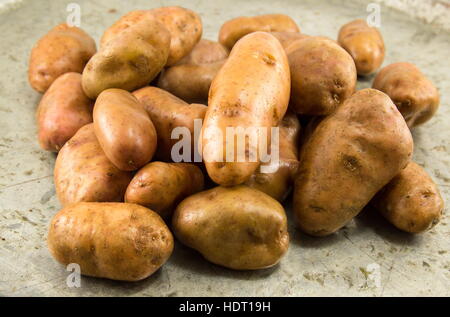 kleinen gewaschen und ungekochte Kartoffeln hautnah Stockfoto