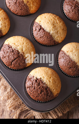 schöne zweifarbige Schokoladen-Muffins Backen Gericht Closeup, vertikale Ansicht von oben Stockfoto