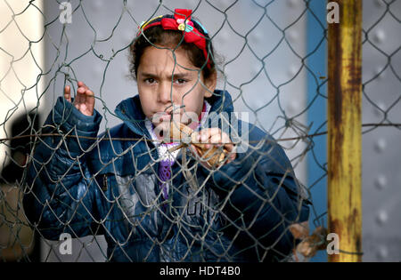 Syrische Flüchtlingskinder peep durch die Umzäunung von einem alten ehemaligen Basketballplatz, die jetzt ihren Schulhof in einem Flüchtlingslager in der Nähe von Taalabaya im Bekaa-Tal. Stockfoto