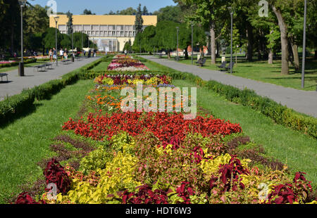 Wiese mit bunten Blumen und Pfade im öffentlichen Park von Vrnjacka Spa in Serbien Stockfoto