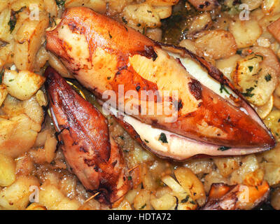 Gebratener Tintenfisch, gefüllt mit Schinken Käse und Tentakeln Stockfoto