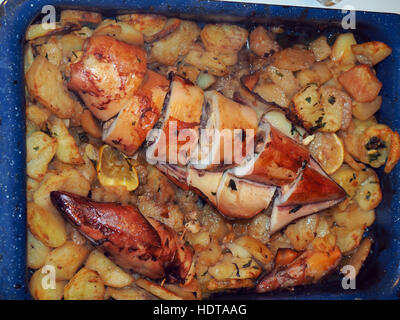 Gebratener Tintenfisch, gefüllt mit Schinken Käse und Tentakeln Stockfoto