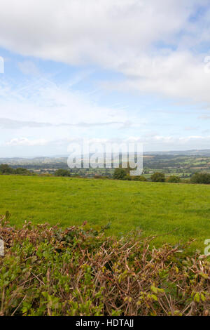 In Blickrichtung Nord Wooton und Glastonbury Tor von Pennard Hill Farm in Somerset Stockfoto