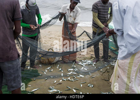 NEGOMBO, SRI LANKA - 30 NOVEMBER: Menschen arbeiten mit Fischernetze am Strand von Negombo am 30. November 2016. Stockfoto