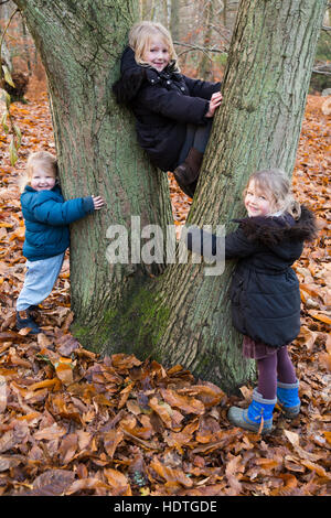 Drei Schwestern: Mädchen Alter 2 6 4 Jahre (zwei, sechs & vier Jahre alt) halten halten Klettern Klettern Baum spielen im Holz Herbst Wald UK Stockfoto