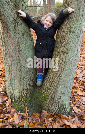 Mädchen Alter 4 Jahre/vier Jahre alten Umarmungen festhalten an Bäumen / Klettern Klettern / klettert Baum umarmen / spielt / spielen in Holz / Herbst. UK Stockfoto