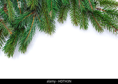 Weihnachtsbaum Äste Grenze auf weißem Hintergrund Stockfoto