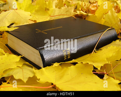 Buch der Heiligen Bibel und Herbstlaub Stockfoto