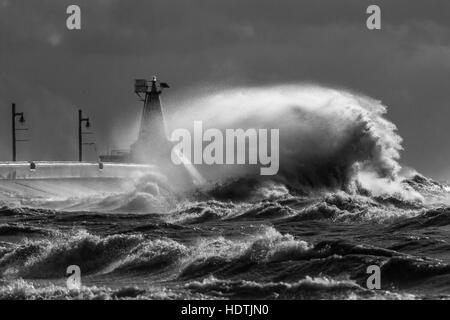 Starke Winde Peitsche Lake Erie von der ruhigen Süßwassersee in einen Kessel mit Brandung und Wellen, die manchmal 30 oben können '. Stockfoto