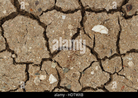 Hintergrund der rissigen, trockenen Boden Makro. horizontale Stockfoto