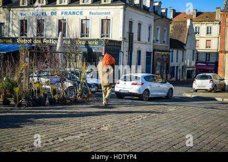 Mann toting große Plünderung Karotten auf regionalen Wochenmarkt in Saint-Pierre-Sur-Dives, Calvados, Normandie, Frankreich. Stockfoto