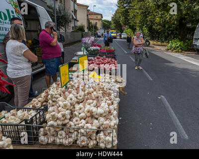 Lucca Stadt Straßenmarkt erstreckt sich von der Porta Santa Maria entlang der Via Borga Giannotti mit alles aus der Nahrung für Haustiere. Stockfoto