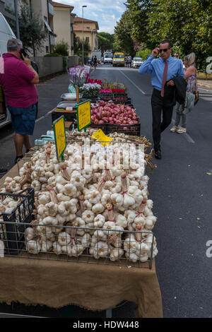 Lucca Stadt Straßenmarkt erstreckt sich von der Porta Santa Maria entlang der Via Borga Giannotti mit alles aus der Nahrung für Haustiere. Stockfoto