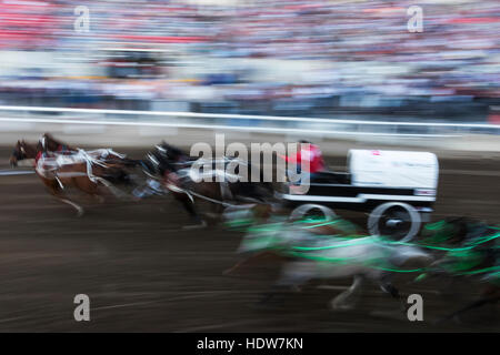 Bewegungsunschärfe von einem Chuckwagon Rennen, Lakeview Calgary Stampede Ereignis; Calgary, Alberta, Kanada Stockfoto