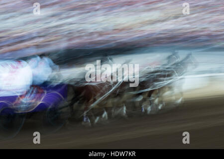 Bewegungsunschärfe von einem Chuckwagon Rennen, Lakeview Calgary Stampede Ereignis; Calgary, Alberta, Kanada Stockfoto