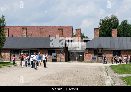 Besucher der Schule Busgruppen aus vielen Teilen der Welt, begleitet von ihren Führern in Auschwitz-Birkenau, Oswiecim, Polen Stockfoto