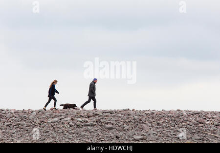 Ein paar, die ihren Hund auf einen Kiesel Strand, England, UK Stockfoto