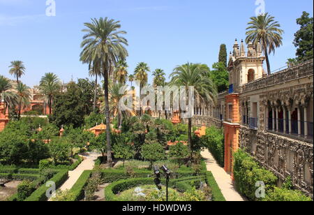 Real Alcazar Gärten in Sevilla, Spanien Stockfoto