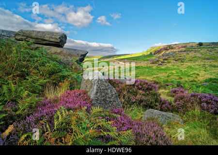 UK, South Yorkshire, Peak District, Burbage Kante von Kröten Mundbereich Stockfoto