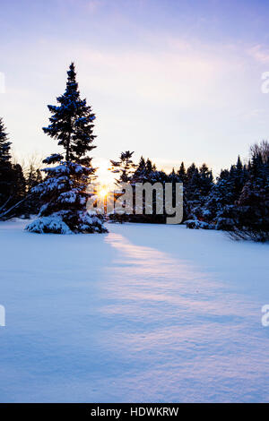 Kanadische Winterlandschaft mit Tanne (Abies) Wald in Kanada Stockfoto