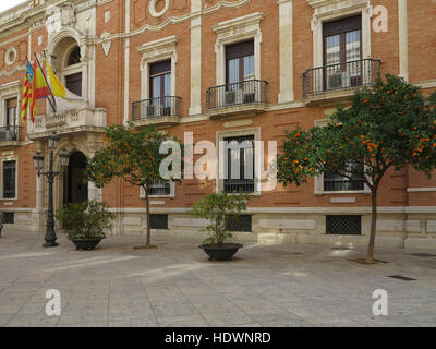 Orangenbäume wachsen in Placa de la mare de deu, Valencia, Spanien Stockfoto