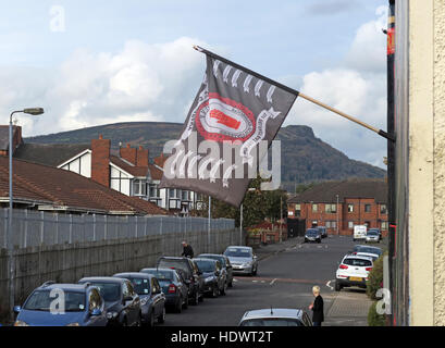 UVF-Flagge, an der Shankill Road West Belfast, Northern Ireland, UK - UVF, U.V.F. 4-stufige Freiwillige, 1. Belfast-Bataillon, Shankill, Woodvale-Flagge Stockfoto