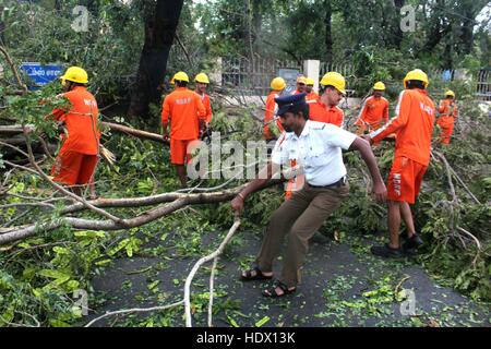 NDRF - Nationale Katastrophenschutzkräfte Männer, die entwurzelte umgestürzte Bäume auf der Straße entfernen, Zyklon Vardah, Madras, Chennai, Tamil Nadu, Indien, Asien Stockfoto