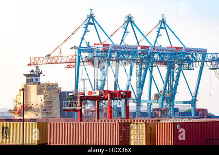 Hafen von Livepool, Container & Rstanchion Krane in Liverpool Freeport, Merseyside, Großbritannien Stockfoto