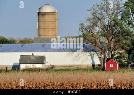 Ein Wellblech Scheune sitzt unter mehr im Alter von landwirtschaftlichen Strukturen eine Reife der Maisernte für die Ernte bereit. Illinois, USA. Stockfoto