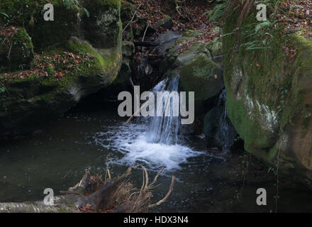 Kleiner Wasserfall im Wald, umgeben von Felsen Stockfoto