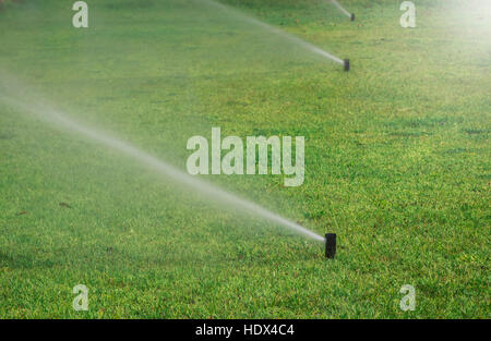 Wasser Sprinkler Gras Feld Stockfoto